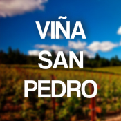 Viña San Pedro (1)
