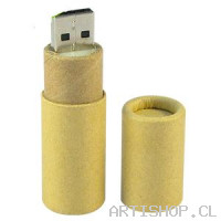 Pendrive Ecológico. 